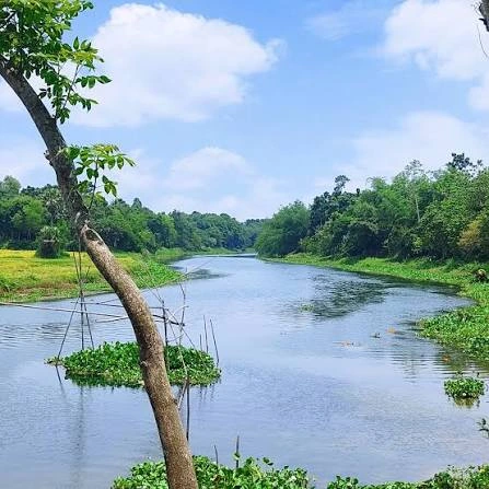 Churni river — serene branch river near Santipur