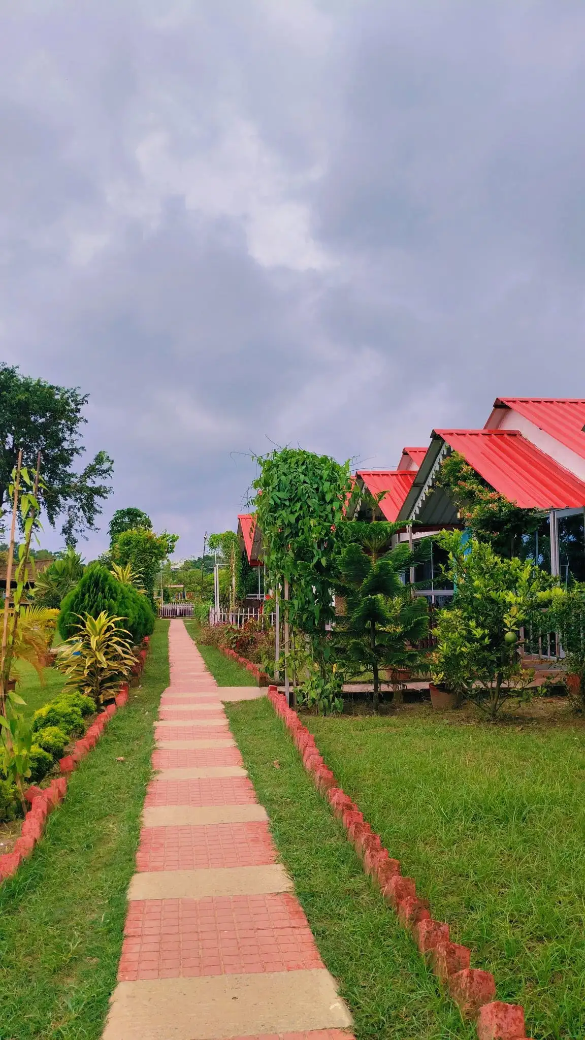 Scenic garden pathway at Tarangini Resort lined with tropical plants